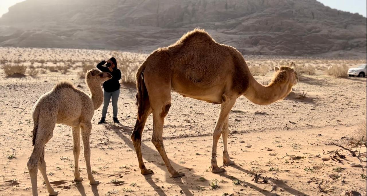 Wadi Rum Protected Area Camp Luaran gambar