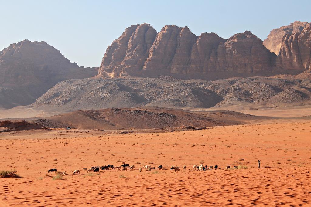 Wadi Rum Protected Area Camp Luaran gambar