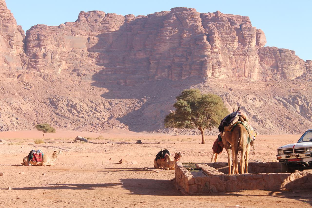 Wadi Rum Protected Area Camp Luaran gambar