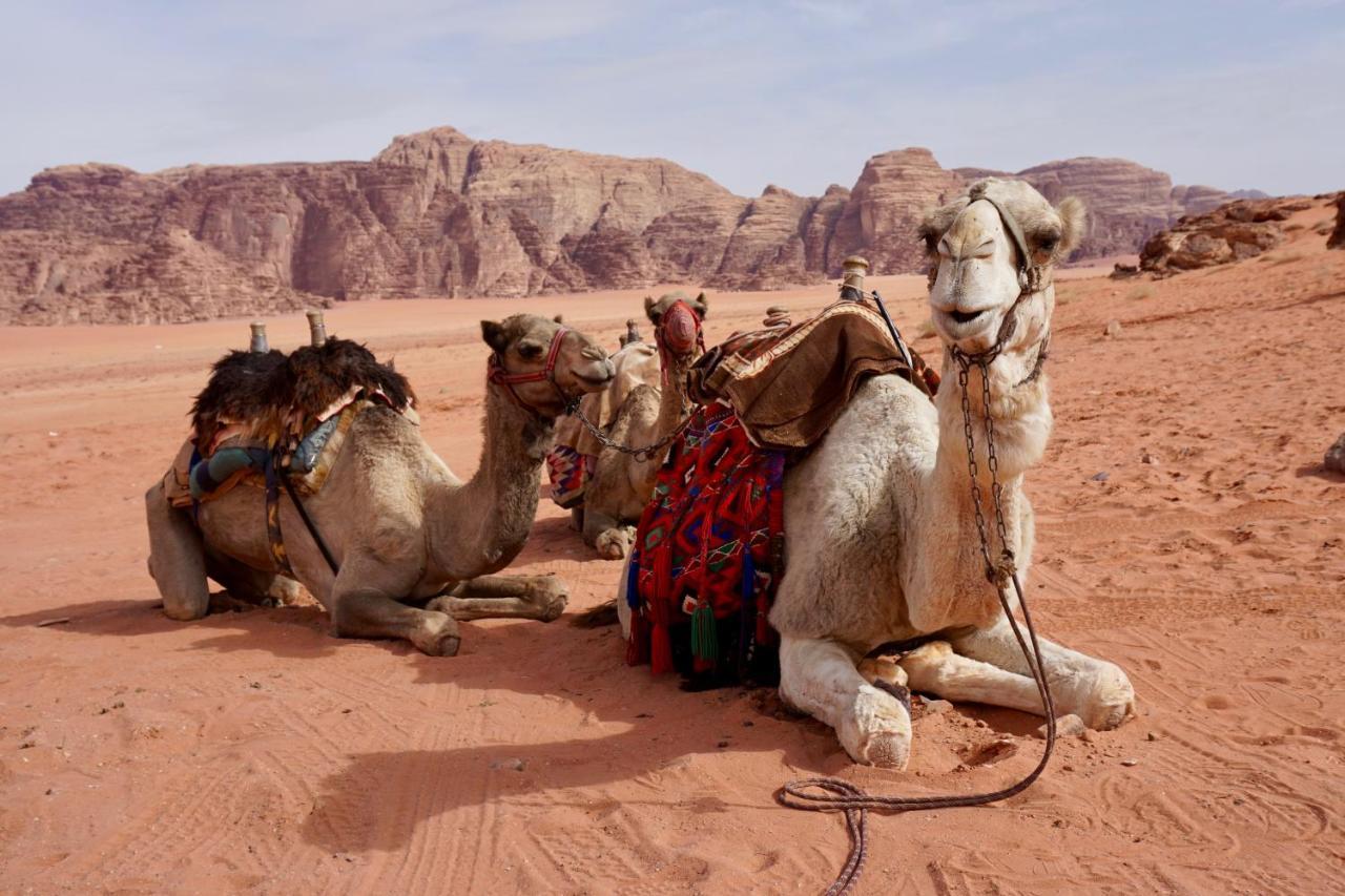 Wadi Rum Protected Area Camp Luaran gambar