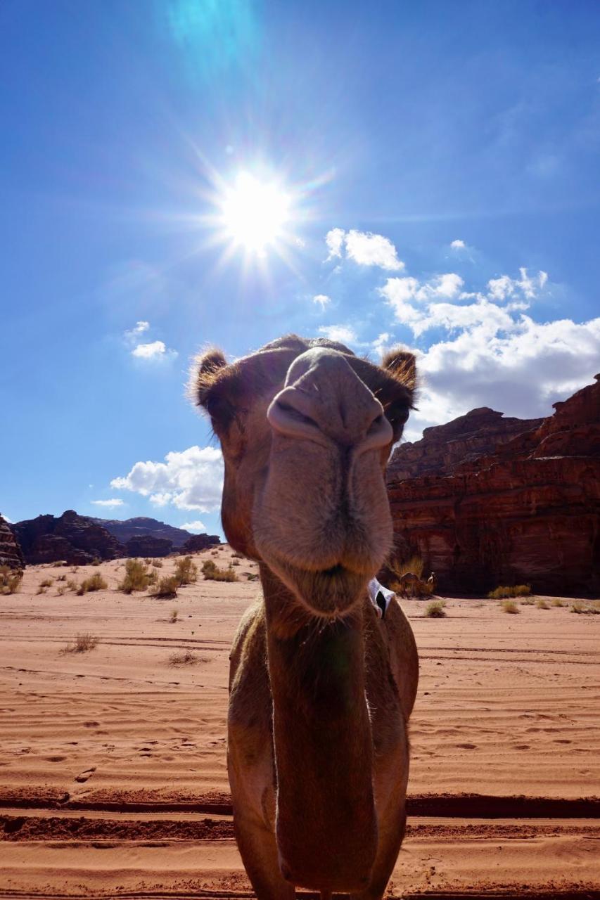 Wadi Rum Protected Area Camp Luaran gambar