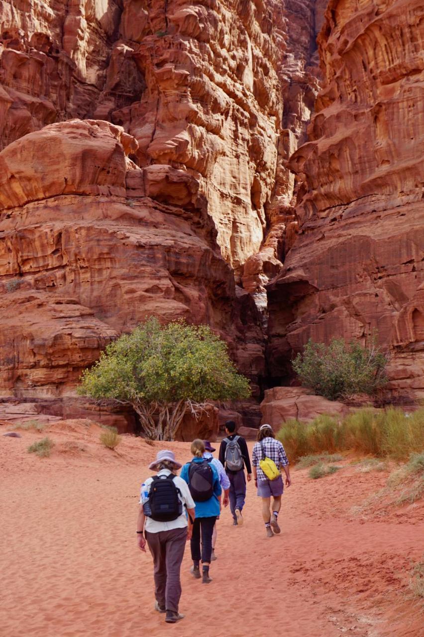 Wadi Rum Protected Area Camp Luaran gambar